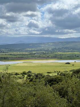 Foto - Einfamilienhaus in Berlin zum Kaufen