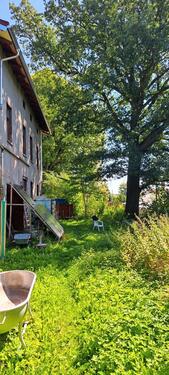 Foto - 6 Zimmer Einfamilienhaus zum Kaufen in Zeulenroda-Triebes