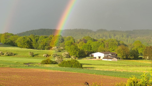 Foto - Wohnung 3 ZKB auf Pferdehof - wohnen zusammen mit deinem Pferd