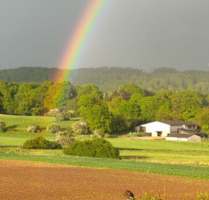 Wohnung 3 ZKB auf Pferdehof - wohnen zusammen mit deinem Pferd - Laubach