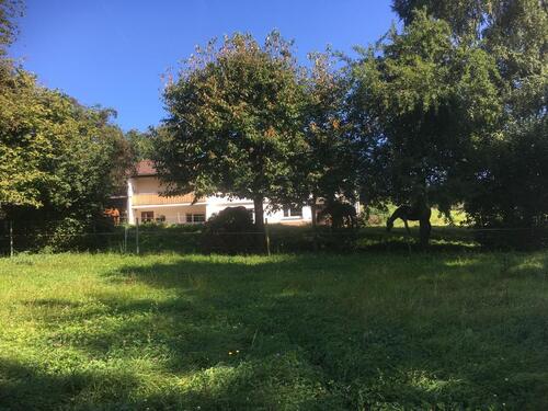 Foto - 3 Zimmer Etagenwohnung in Laubach