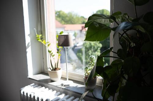 Foto - andere zur Miete in Ober-Mörlen