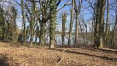 Foto - Rarität – Rückzugsort am See in Templin