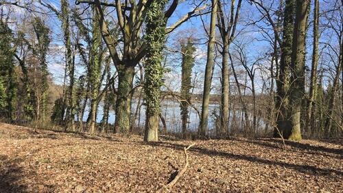Foto - Rarität – Rückzugsort am See in Templin