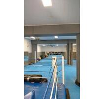 Trainingshalle in Mannheim City– ideal für Kampfsport, Yoga etc.