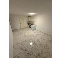 Vollständig renovierte 2-Zimmer-Wohnung mit Balkon. - Stuttgart Mühlhausen