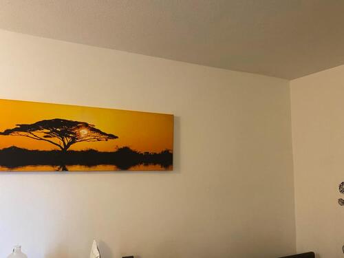 Foto - 1 Zimmer Etagenwohnung zur Miete in Pforzheim