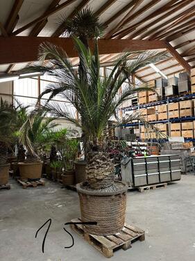 Foto - Lagerhalle Keine Werkstatt möglich ! 4€qm