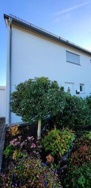 Foto - Einfamilienhaus zum Kaufen in Ingolstadt