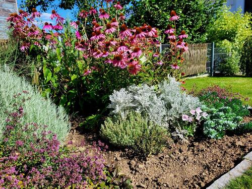 Foto - Einfamilienhaus in Ingolstadt