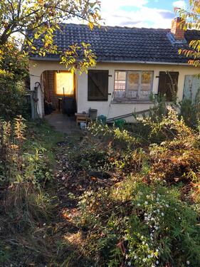 Foto - Grundstück zur Miete in Braunschweig