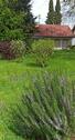 Foto - Freistehendes EFH in Marxzell - 475.000,00 EUR Kaufpreis,