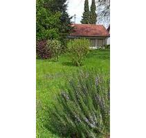 Freistehendes EFH in Marxzell - 475.000,00 EUR Kaufpreis, in Marxzell (PLZ: 76359)