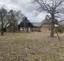 Haus im Grünen-nur 1h von Berlin, Alleinlage+großes Grundstück - Penzlin