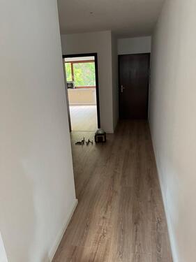 Foto - Hochparterre in Morsbach zur Miete