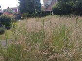 Foto - Gartrenpazelle in Marl-Drewer auf der Bayerstr.10-16 zu vermieten