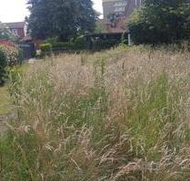 Gartrenpazelle in Marl-Drewer auf der Bayerstr.10-16 zu vermieten