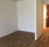 Renovierte 1Zi. Whg mit Balkon u. Stellplatz in Nürnberg - Großhabersdorf