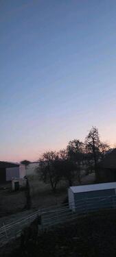 Foto - Großes MehrfamilienGenerationenhaus mit Garten - Pferdehaltung