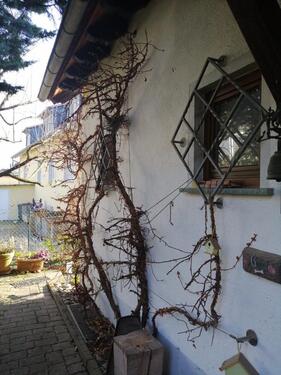 Foto - 