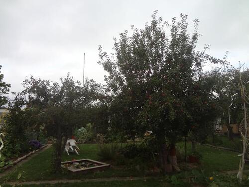 Foto - Grundstück zur Miete in Hannover