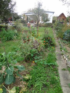 Foto - Grundstück in Hannover