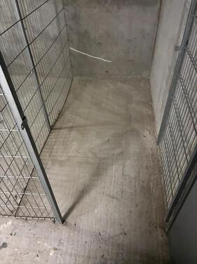 Foto - Keller Kellerabteil Abstellraum Martinsviertel Riegerplatz