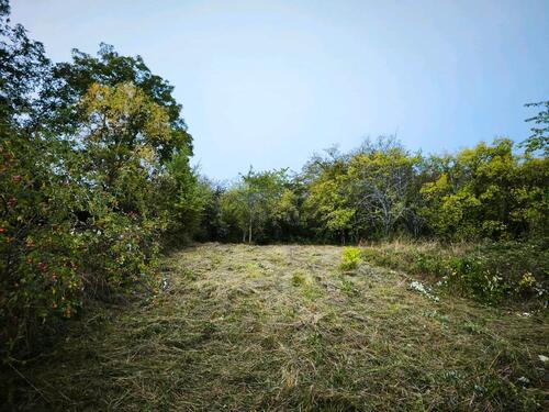 Foto - Grundst&uuml;ck in Tübingen