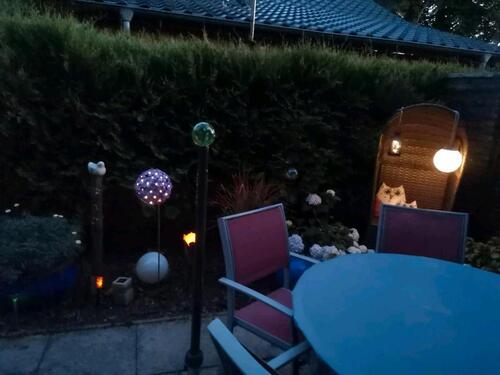 Foto - 2 Zimmer Terrassenwohnung in Schiffdorf