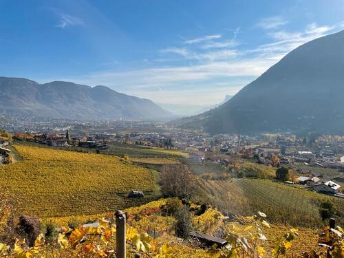 Foto - 2 Pers. Ferienwohnung Latsch Vinschgau Südtirol