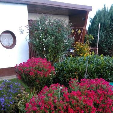 Foto - Kleingarten Pacht in Traumhafter Lage 500 qm