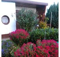 Kleingarten Pacht in Traumhafter Lage 500 qm - Haselbachtal