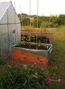 Foto - Grundst&uuml;ck in Haselbachtal zur Miete