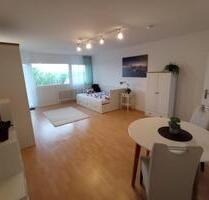 Stilvoll möblierte Wohnung mit 44qm im Herzen von Frankenthal zu vermieten - Frankenthal (Pfalz)