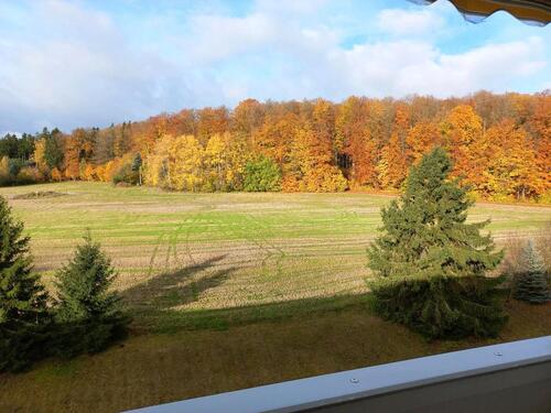 Foto - Etagenwohnung in Ehrenfriedersdorf zur Miete