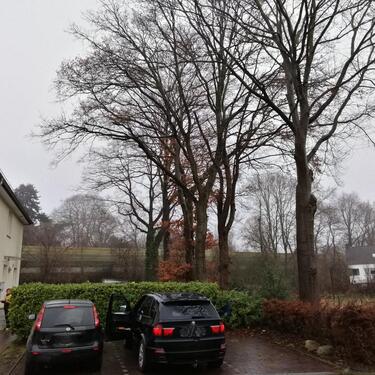 Foto - 2 Zimmer Etagenwohnung in Ritterhude