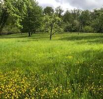Gartengrundstück Streuobstwiese zu verpachten Esslingen-Zell - Esslingen am Neckar Oberesslingen