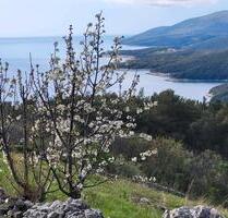 Traumhaftes Baugrundstück mit unverbaubarem Meer- u. Bergblick - Grafing bei München