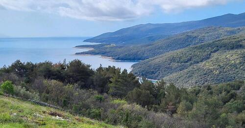 Foto - andere in Grafing bei München zur Miete
