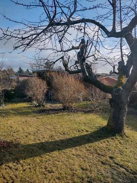 Foto - Grundst&uuml;ck in Zeulenroda-Triebes zur Miete