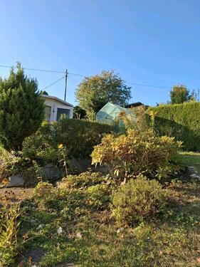 Foto - Grundst&uuml;ck zur Miete in Zschopau