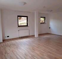 Altensteig schöne helle 1 Zimmerwohnung 46m2