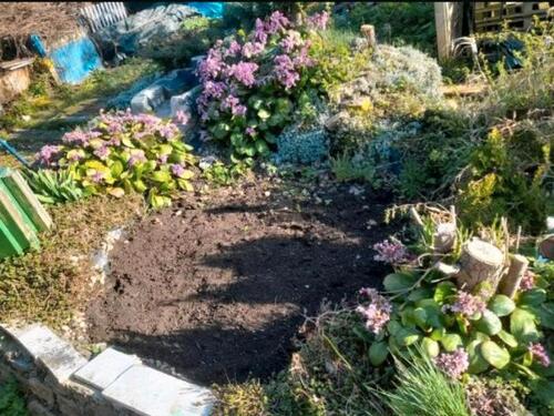 Foto - Grundst&uuml;ck zur Miete in Großenhain