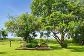 Foto - andere in Esens