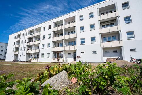 Foto - 3 Zimmer Etagenwohnung zur Miete in Dierhagen