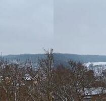 Altersgerechte 1 Raumwohnung mit Fahrstuhl und Balkon - Grimma