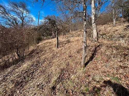 Foto - Grundst&uuml;ck in Tübingen zur Miete