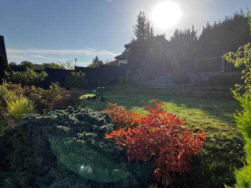 Foto - Einfamilienhaus zum Kaufen in Kirn