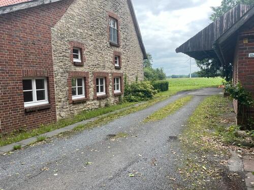 Foto - Einfamilienhaus zur Miete in Laer