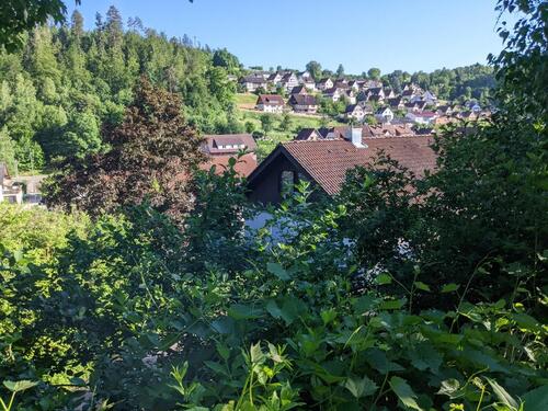 Foto - Garten Terrassengarten in 72213 Altensteig 200 qm